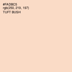 #FADBC5 - Tuft Bush Color Image